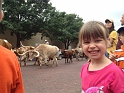 Kids_FWSYards-More (3) (Custom)